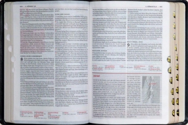 Preview: Bibel Luther21 - Thompson Studienausgabe